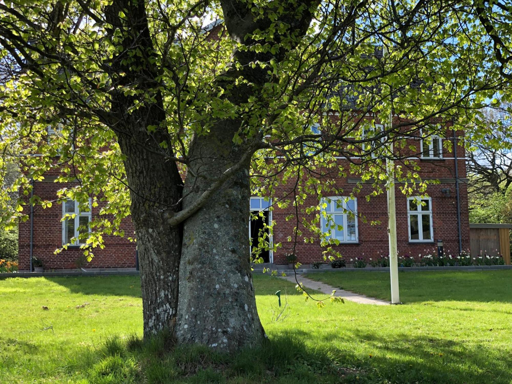 Hotel Rolykke Sæby Exteriér fotografie